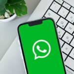 istockphoto-2242444118-612x612
