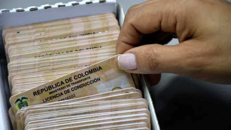 licencia de conducción