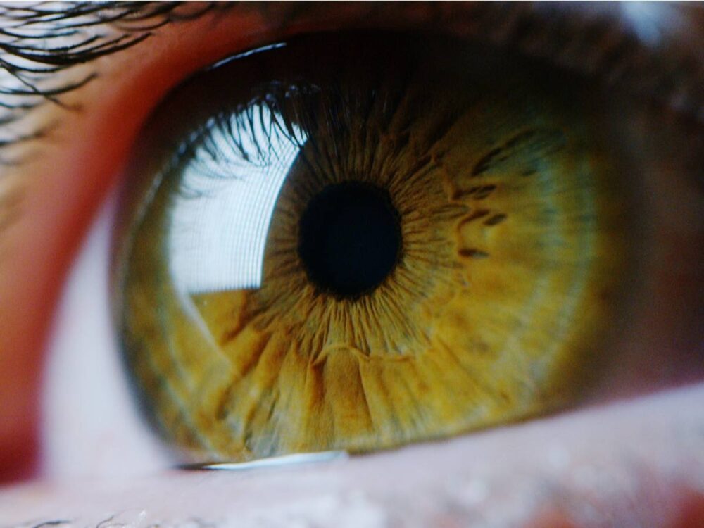 ojo, iris