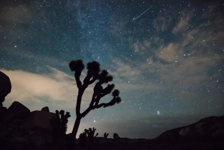 perseid-meteor-shower-8-11-15-20526349219 (1)