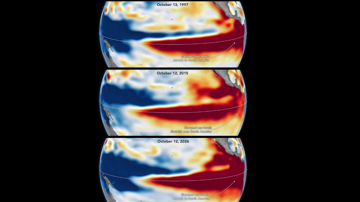el niño